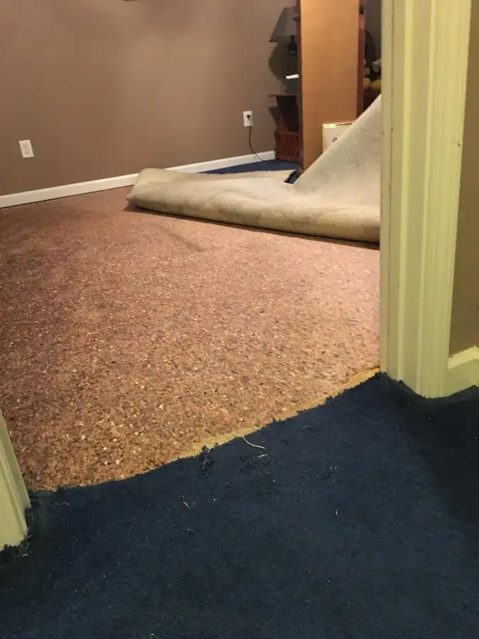 Carpet pad removal revealing water damage during Drying & Dehumidification in Basehor