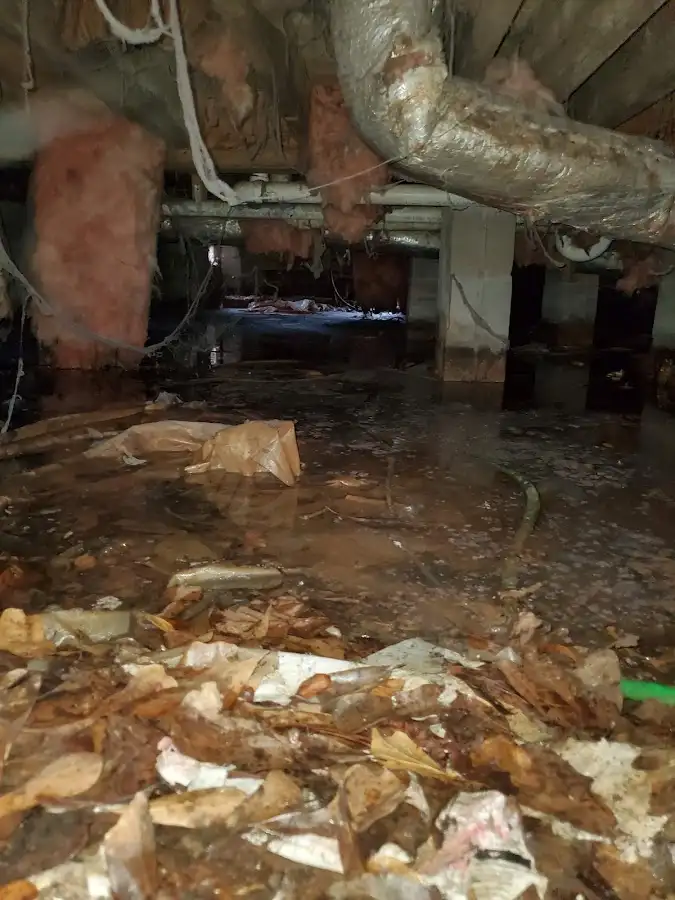 Crawl space flood assessment for Commercial Water Damage Restoration in Basehor