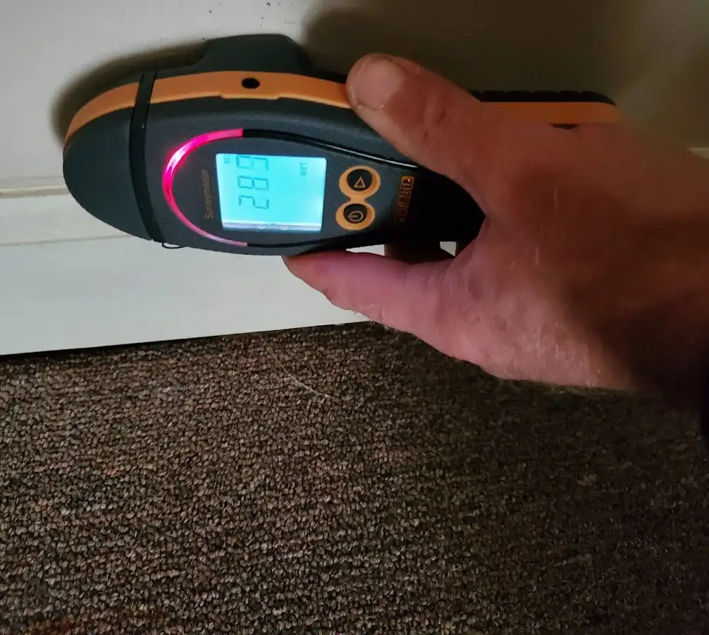 Moisture detection at baseboard during Sewage Cleanup & Sanitation in Basehor
